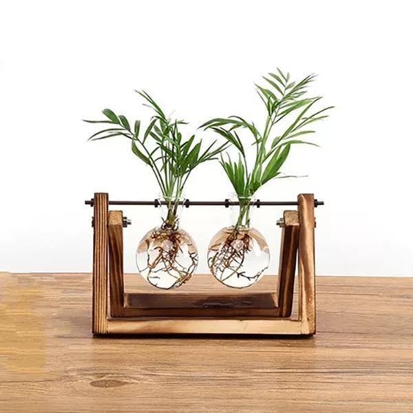 Vasos de Bulbos de Vidro com Soporte de Madera